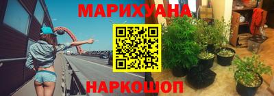 PSILOCYBIN Камышлов