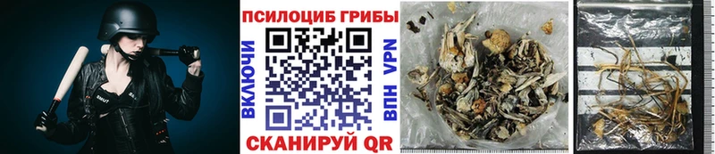Псилоцибиновые грибы ЛСД  Лесосибирск 