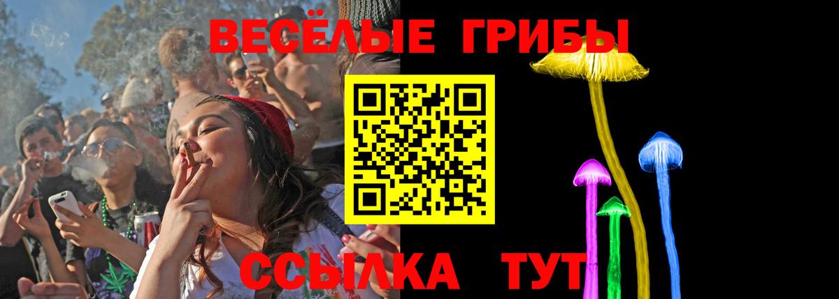 Лесосибирск  Псилоцибиновые грибы Psilocybe  продажа наркотиков  Вход с VPN 